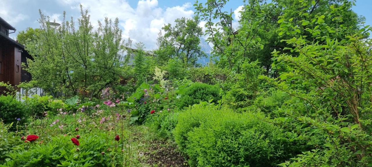 Apartements Breitenwang Reutte Dış mekan fotoğraf